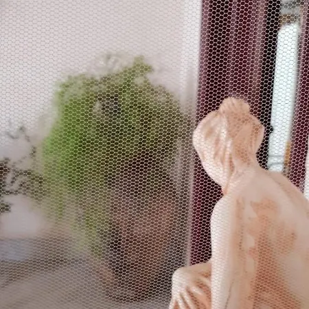 Daire Ursae Domus Graniti